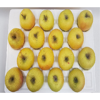 [청송조공] 농협 청송 시나노골드(못난이황금사과) 10kg(중과/46내)