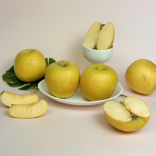 [신북농협 Pick!]★봄봄Sale★2kg/5kg시나노골드 황금사과 2kg-5kg