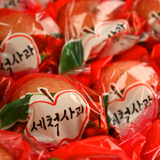 [푸른들] 경북 세척사과 봉지사과 4kg 중과 19과내외