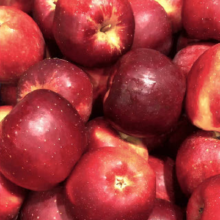 소백산 애플피치 엔부사과 정품과 5kg(10-20입)