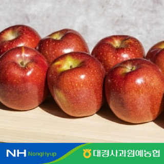[대경사과농협] 문경 고당도 감홍사과 3kg 대과 구성