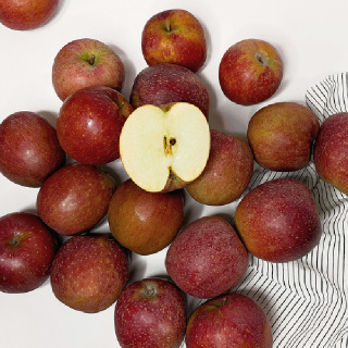 고당도 감홍사과 꿀사과