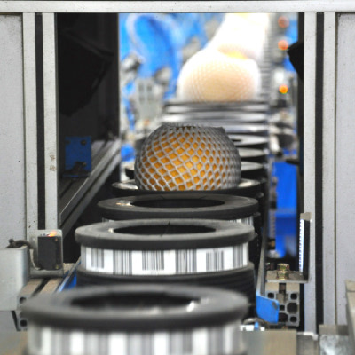 [익산원예농협] 고당도 신고 배 5kg 가정용 김장용  6-14과