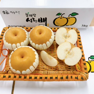 [천안조공] 천안,성환배 가정용(알뜰배) 신고배 5kg(6~9과)