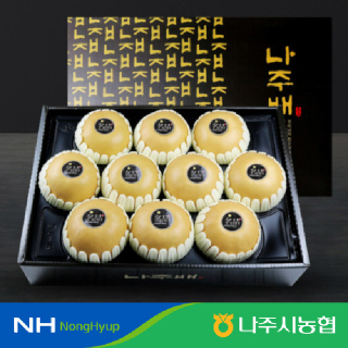 ★출고일지정★[나주시농협]나주 명품배세트 7.5kg 10내