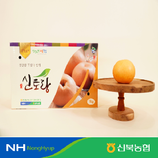 [신북농협] 영암 GAP신고배 선물세트 특품 5kg 10과내 상시발송!