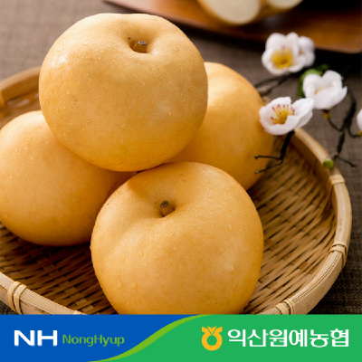 [익산원예농협] 고당도 신고 배 5kg 가정용 김장용  6-14과