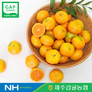 [제주감귤농협] 노지감귤 9kg 대과 로얄과 GAP인증