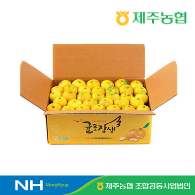 제주농협 노지감귤 4.5kg 로얄과(S-M)