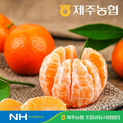제주농협 노지감귤 4.5kg 로얄과(S-M)