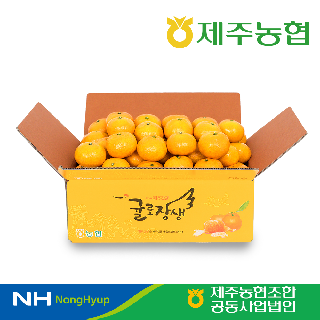 [제주농협]노지감귤 9kg 당도선별(중대,로얄과)