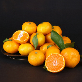 제주연가 노지감귤 3kg/5kg/7kg/10kg