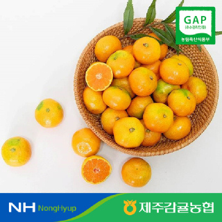 [제주감귤농협] 노지감귤 4.5kg 대과 로얄과 GAP인증