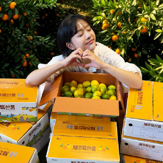 [2025 햇감귤][대한민국농수산] 품질보장 조생 제주 감귤 로얄과/ 중대과 (2.5/4.5kg)