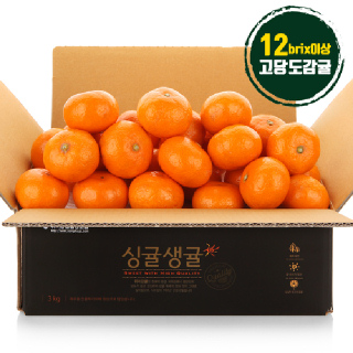 제주위미농협 고당도 싱귤생귤 노지감귤 3kg(로얄과)