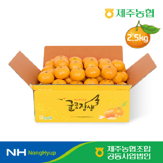 [제주농협]하우스감귤 2.5kg 소과