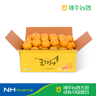 [제주농협]하우스감귤 2.5kg 소과