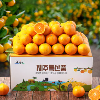 새콤달콤 제주 감귤 4.5kg /노지 타이벡 감귤