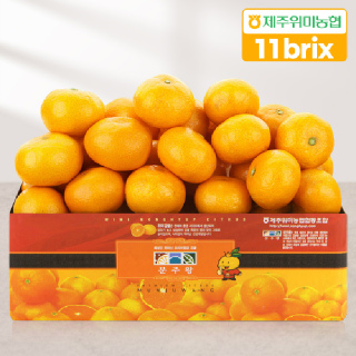[제주위미농협] 문주왕 11brix 산지직송 하우스감귤 2.5kg(로얄과)