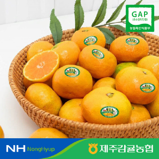 [제주감귤농협] 불로초 감귤 1.5kg 3kg (12.5brix/로얄과)