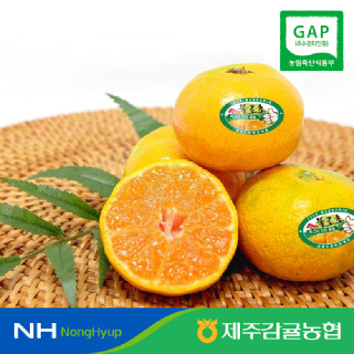 [제주감귤농협] 불로초 감귤 2.5kg 벌크(12.5brix/로얄과)