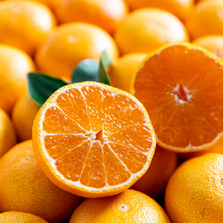 제철진미 제주 서귀포 하례마을 고당도 타이벡감귤 로열과 5kg (2S-M)