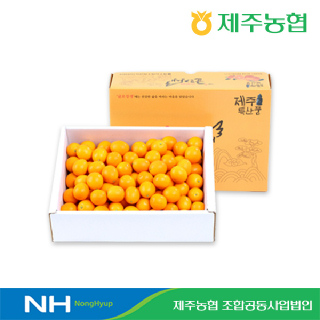제주농협 금귤(낑깡) 2.5kg