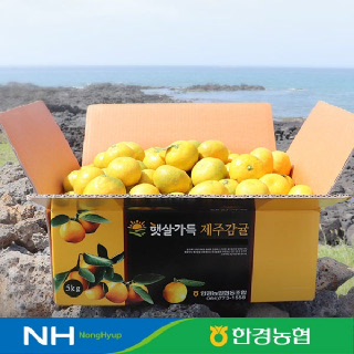 [한경농협]제주 조생감귤 4.5kg 중대과(L-2L)