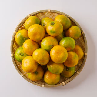 [작심밀도]제주직송 25년 극조생 감귤 대과(L이상) 10kg