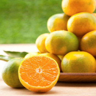 서귀포 하례마을 타이벡 감귤 2kg/3kg/5kg/7kg/10kg