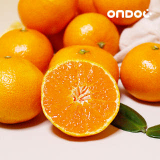 [온도씨] 제주 고당도 타이벡 감귤 4.5kg 로얄과 (S-M)