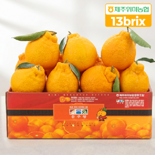 [제주위미농협] 한라봉 4.5kg 실속형(20-27입)