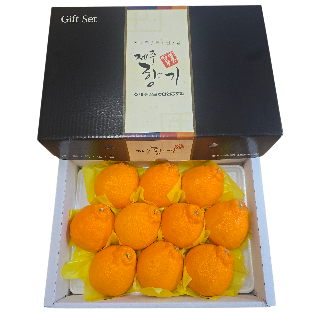 [제주감귤농협] 한라봉 선물세트 2.5kg(7-12입)