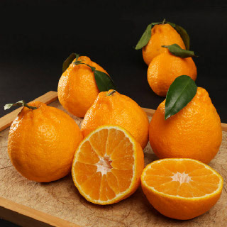 제주연가 한라봉 가정용 2kg/3kg/5kg/7kg/10kg