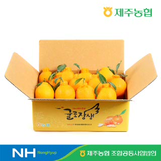 [제주농협]귤로장생 한라봉 4kg 소과(21-31입)