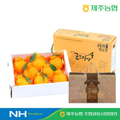 [제주농협] 귤로장생 한라봉4.5kg 선물세트(10-15입)+가방