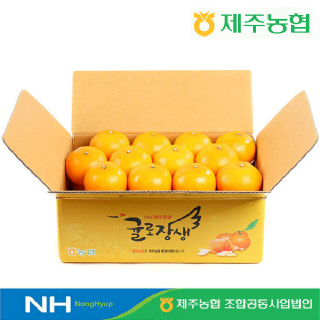 [제주농협]귤로장생 천혜향 4kg 소과(21-31입)