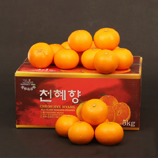 제주연가 천혜향 가정용 3kg/5kg/10kg