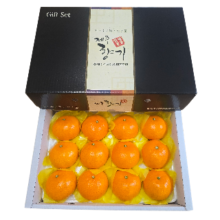 [제주감귤농협] 천혜향 선물세트 2.5kg(9-14입)