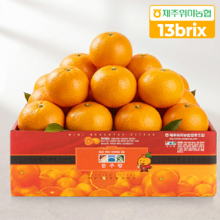 [제주위미농협] 천혜향 2.5kg 실속형(12-16입)