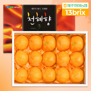 [제주위미농협] 천혜향 5kg(15-25입)