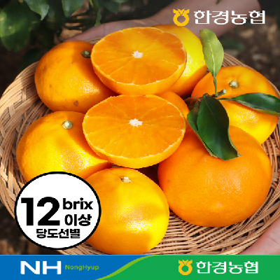 [제주한경농협]★앵콜특가★12brix 고당도 천혜향 2kg 로얄과