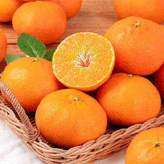 제주 가정용 레드향 5kg 중대과