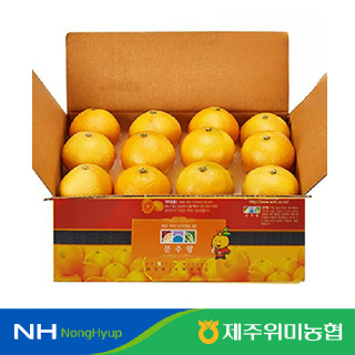 [제주위미농협] 황금향 2.5kg 소과(20입내외) 벌크형