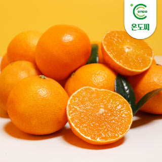 [온도씨]제주 고당도 황금향 2.5kg (중과/10-12과)