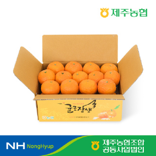 [제주농협]★제철특가★귤로장생 카라향 2kg 로얄과(10-16입)