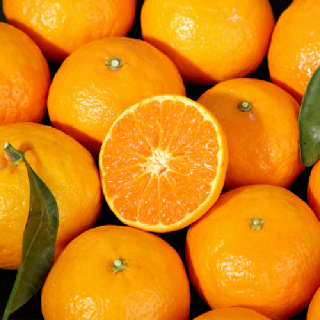 이제주 카라향 혼합과,로얄과 1.5kg/2.5kg/4.5kg