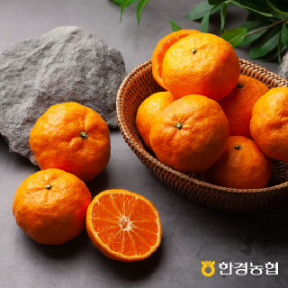 [제주한경농협]★13브릭스고당도★카라향 (귤로향) 4.5kg 로얄과(18-38과 내외)