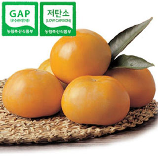 [GAP, 저탄소인증] 감고을단감 5.7kg(20과)/가정용