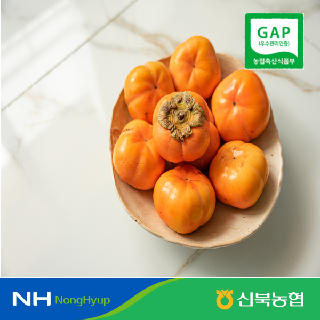 [신북농협 Peak!] 영암 황토 GAP 아삭하고 단 차량단감 3kg 5kg